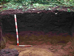 terra preta soils of the amazon